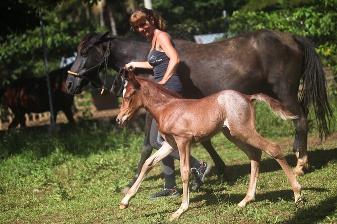 Ride Horses on the Beach - Rancho Playa, Your Safety Briefing, and the Helmet Moment