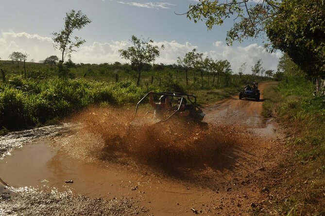 Rivers, Jungle with Buggies Adventure in Bayahibe - Rio Chavón: where the movie-famous river becomes your river swim