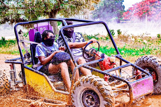 Road Off Half Day Buggy with Chocolate and Coffee Tasting - Key highlights you will notice