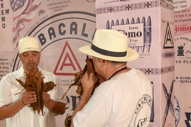 Roll your Own Cigar in Puerto Plata - What You Actually Do During the 1-Hour Class