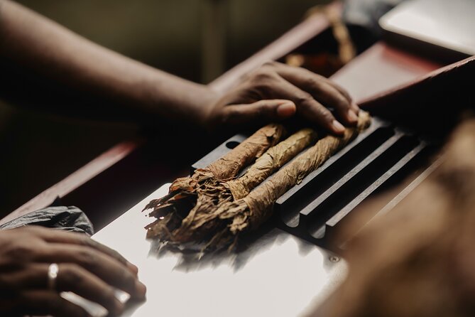 Roll your Own Cigar in Puerto Plata - Logistics That Matter in Puerto Plata (Meeting Point and Timing)