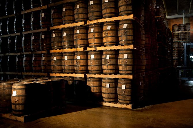 Ron Barcelo Anejo Experience Factory Tour - Who should book this tour, and who might not love it