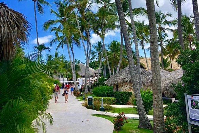 Round Trip Punta Cana Airport Shuttle - Round-trip service for your return: one less stressful day