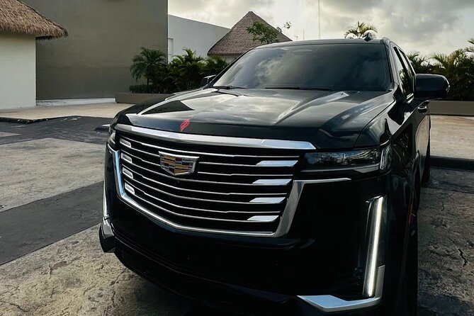 ROUNDTRIP Bavaro/Punta Cana AREA - PUJ Airport - LUXURY SERVICE - Ride Comfort and Vehicle Options, From Vans to VIP-Style Cars