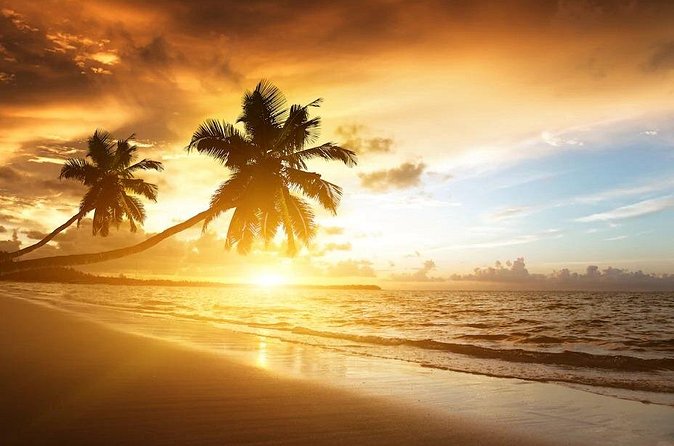 Royalton Bavaro- Round Trip Shuttle - Punta Cana Airport - Timing, traffic, and the 12:00am clue you should ignore