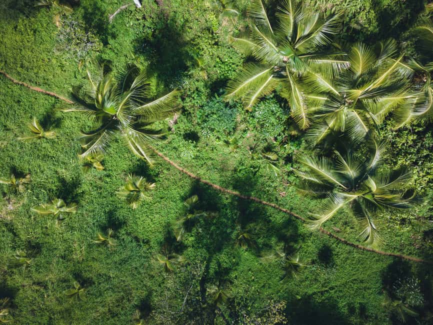 Sabana de la Mar: Los Haitises Guided Hike and Kayaking - Guide quality makes or breaks this kind of day