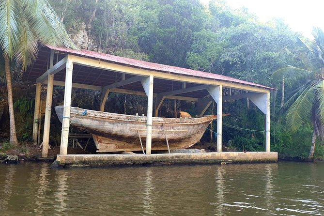 Safari discovery to Boca De Yuma – Nature, Discovery And History Of A Population - Dominicus coffee factory stop: learning first, shopping second