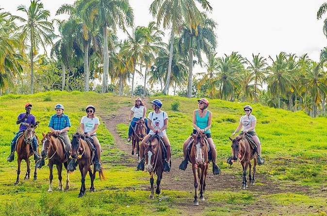 Safari Full Day Outdoor Adventure from Punta Cana - Higüey village culture stops: souvenirs, cigar craft, and a typical house visit
