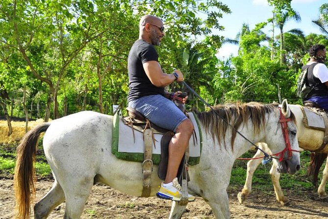 Safari Tour in Punta Cana todo el dia una Aventura inolvidable - Ziplining through the treetops: thrill with a built-in “wow” factor