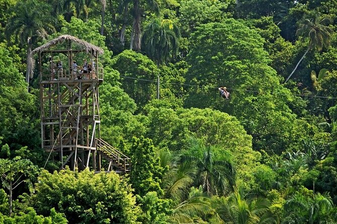 Safari Tour in Punta Cana todo el dia una Aventura inolvidable - Cultural stops in Higuey: Basilica and public market time