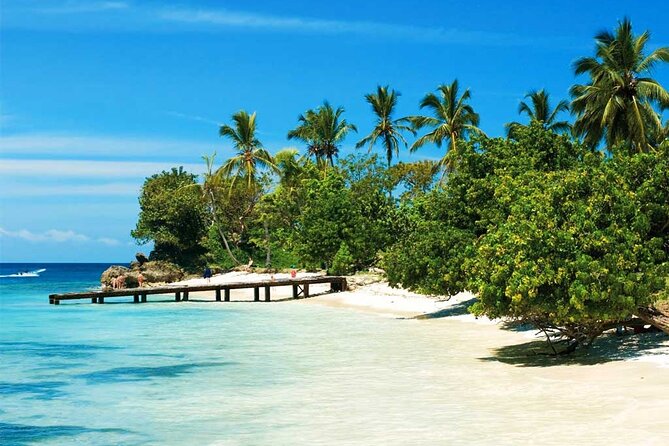Samana + Cayo Levantado + Horseback Riding from Punta Cana with Lunch - What this 10-hour day feels like, and how to pack smart