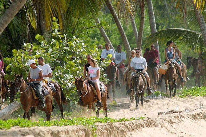 Samana + Cayo Levantado + Horseback Riding from Punta Cana with Lunch - Price and value: is $115 a fair deal for this mix?