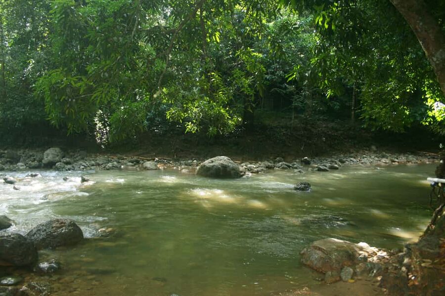 Samaná: El Limón Waterfall Horseback Riding Tour - Reaching the falls: 197 feet, stairs, and photo-worthy spray