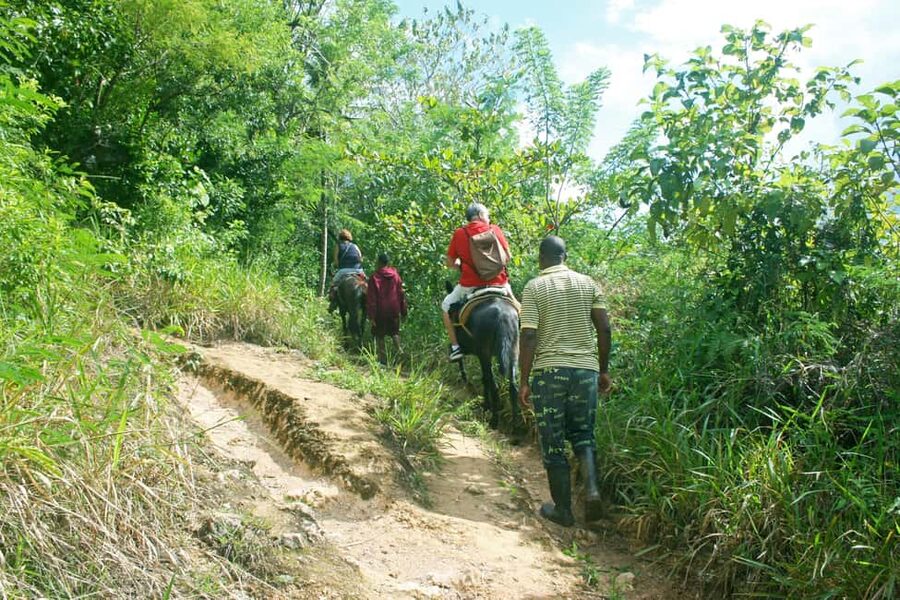 Samaná: El Limón Waterfall Horseback Riding Tour - Price and value: does $60 make sense for what you get?