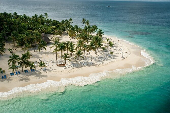 Samaná Experience Whale – The Lemon Waterfall & Bacardi Island - Horse Handling and Animal Welfare: What You Should Consider Before Booking