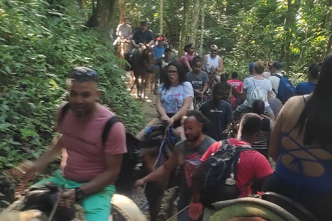 Samana Full Day Waterfall, Safari and Beach - Whale watching in Samaná: amazing when seas cooperate