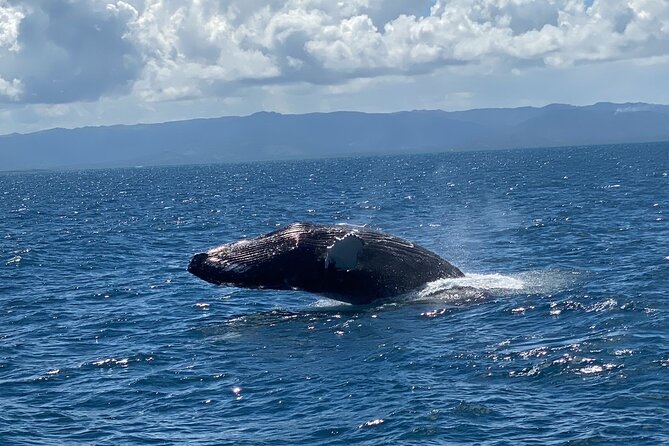 Samana Full Day Waterfall, Safari and Beach - Who should book this Samana Full Day trip