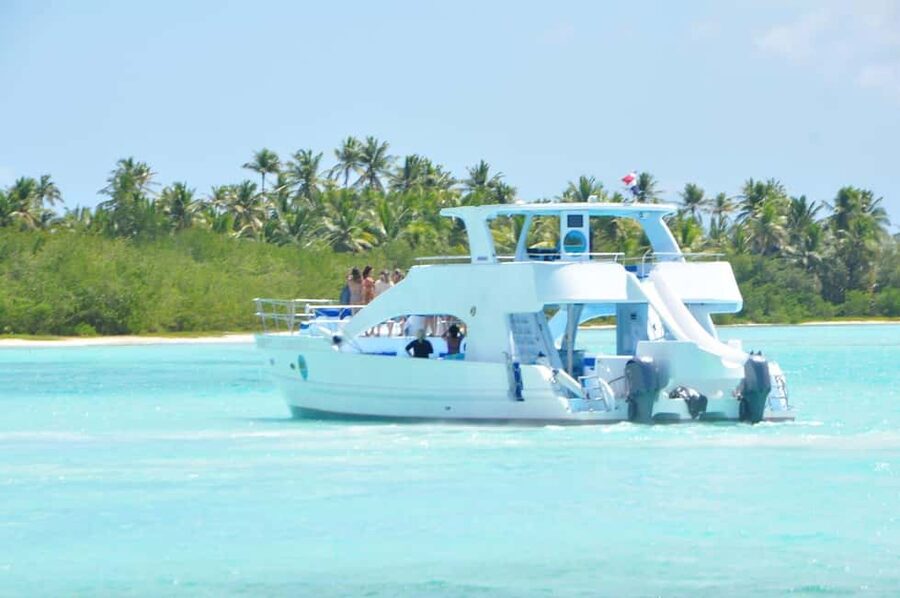 Samana: Half Day Whale Watching Humpback Whale Watching - Key things to know before you go