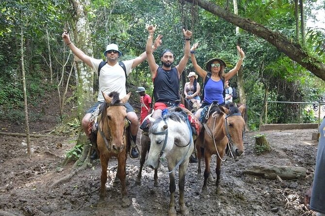 Samana - Key Levantado - Limon Waterfall - Horseback Riding - Value check: who this tour is best for