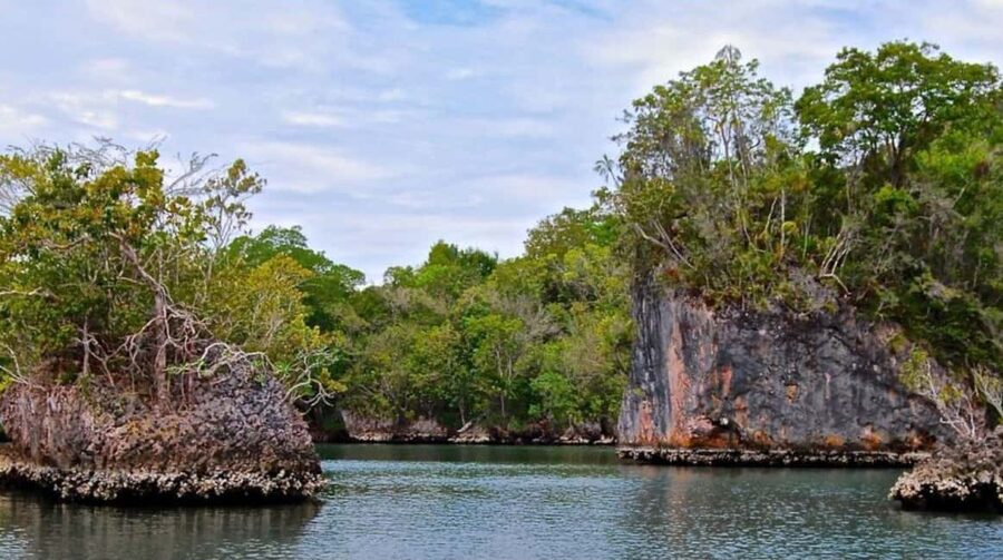 Samana: Los Haitises Kayaks & Caño Hondo Pools Tour w/ Lunch - Key Things That Make This Tour Worth Your Time