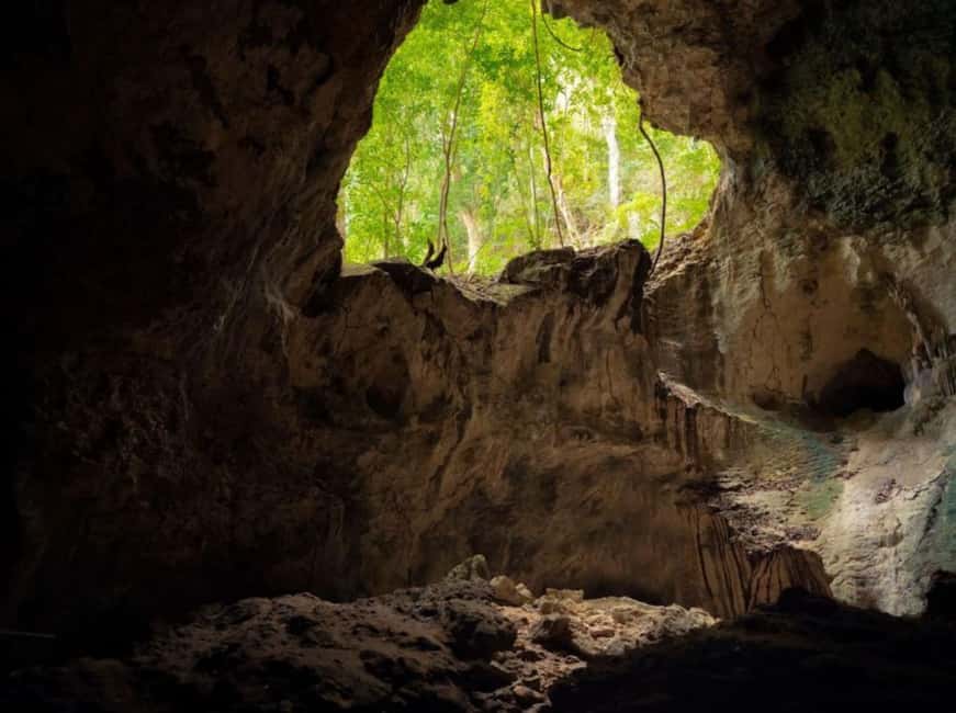 Samana: Los Haitises Kayaks & Caño Hondo Pools Tour w/ Lunch - Timing, Return Ferries, and Why the Day Can Feel Travel-Heavy