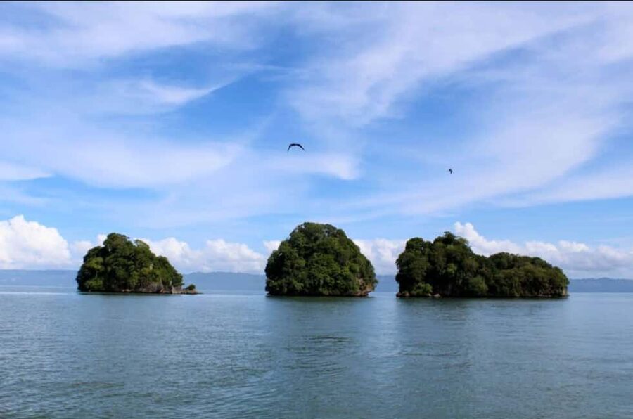 Samana: Los Haitises Kayaks & Caño Hondo Pools Tour w/ Lunch - Price and Value: Is $85 a Good Deal Here?