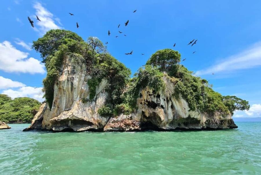 Samana: Los Haitises Kayaks & Caño Hondo Pools Tour w/ Lunch - Who Should Book This Tour, and Who Should Skip It