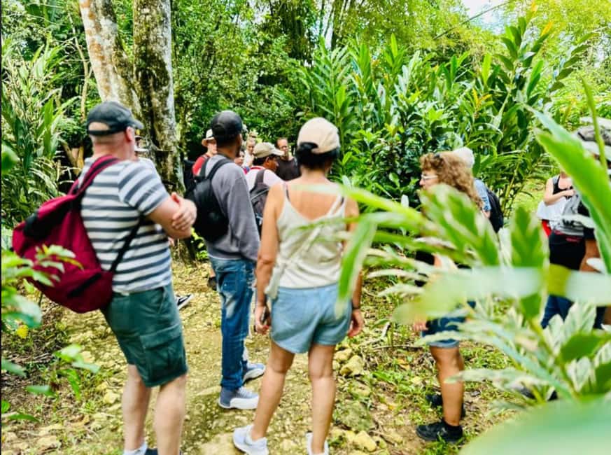 Samana: Los Haitises National Park & Caño Hondo Day Tour - What to pack for a smooth day in Los Haitises and Caño Hondo