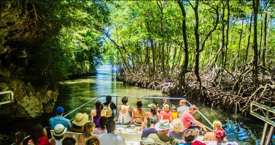 Samana: Los Haitises National Park & Cayo Levantado Tour - Key Points at a Glance