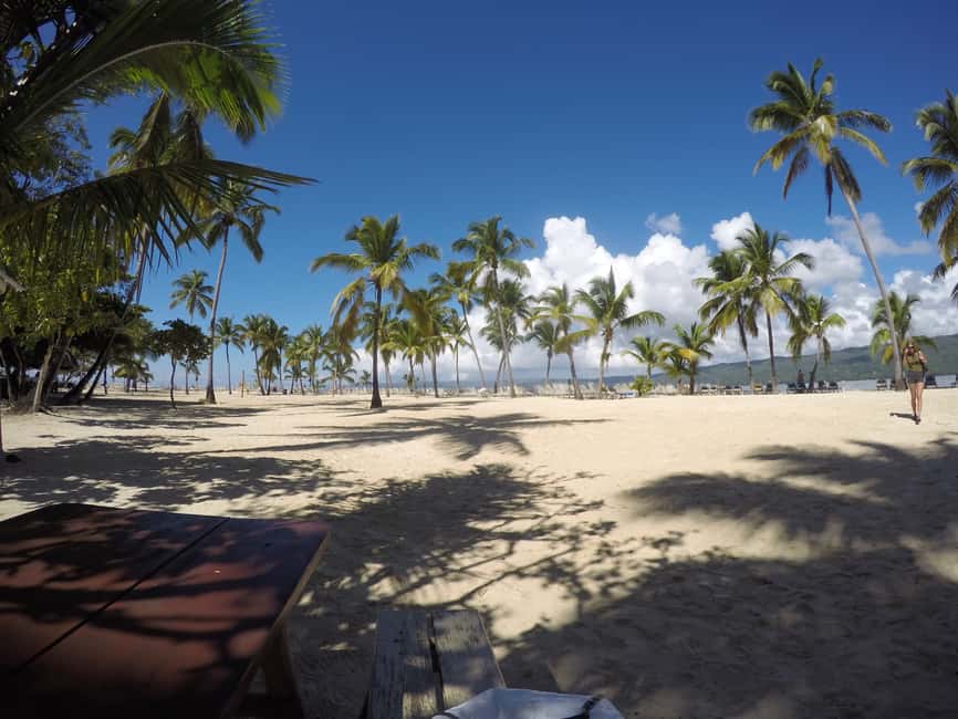 Samana: Whale Watching Tour - FAQ
