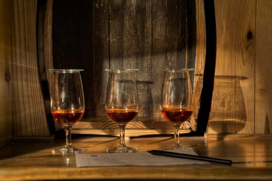 San Pedro De Macoris: Ron Barcerló Rum Factory Tour - Bottling and packaging: where the routine shows