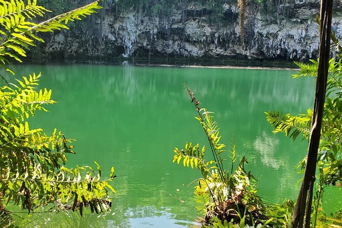 Santo Domingo City Tour From Punta Cana With Pick Up - Shopping and lunch: staying fueled without blowing the budget