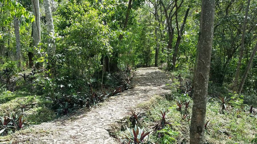 Santo Domingo: Natural Treasures of the City - Price and Timing, Is $175 Worth It?