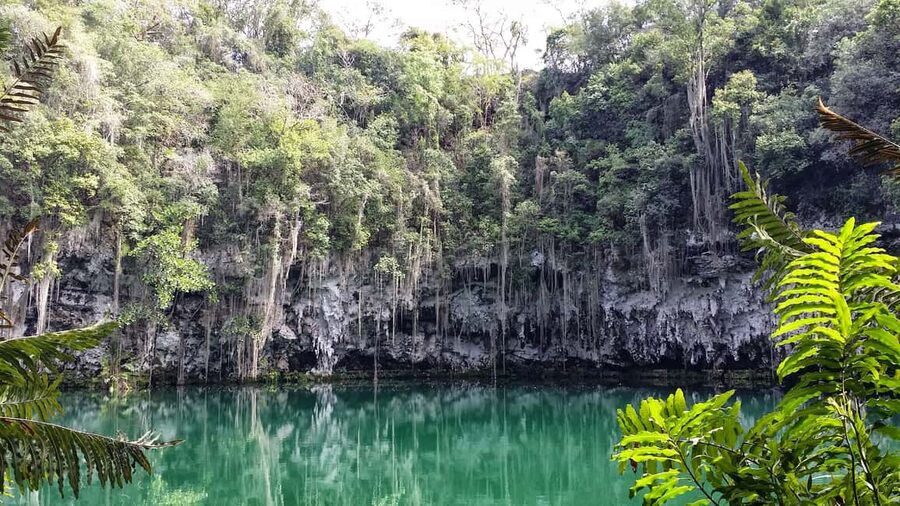 Santo Domingo: Natural Treasures of the City - Zona Colonial Pickup and the Ride to the Botanical Garden