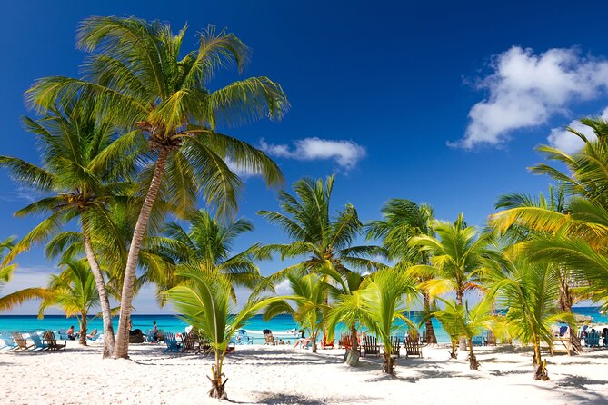 Saona Catamaran Cruise with Lunch and Natural Swimming Pool - Quick take: what makes this Saona cruise worth your $75