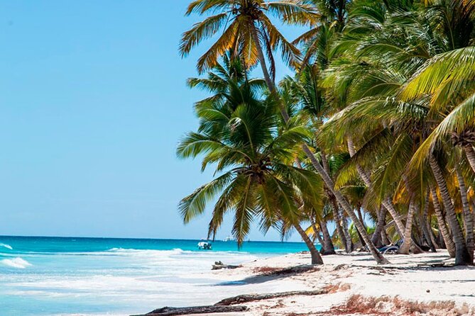 Saona Catamaran Cruise with Lunch and Natural Swimming Pool - Why Saona by catamaran can feel like the right kind of vacation