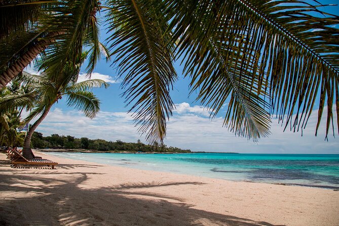 Saona Catamaran Cruise with Lunch and Natural Swimming Pool - Palmilla natural swimming pool: starfish area plus real water time