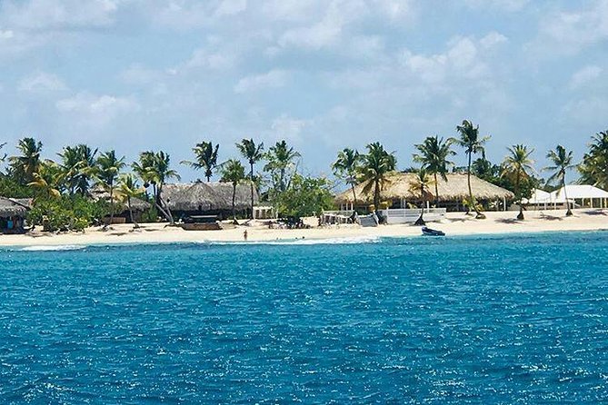 Saona Island All Inclusive Punta Cana - The natural pool starfish stop, a calm moment in the middle of it all