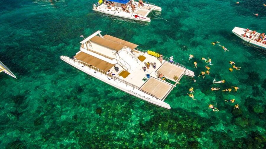 Saona Island All Inclusive Tour - Arriving at Saona: white sand, ecological reserve views, and wildlife eyes