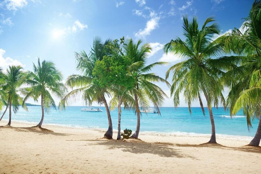 Saona Island All Inclusive Tour - The language and guide reality: confirm if it matters to you