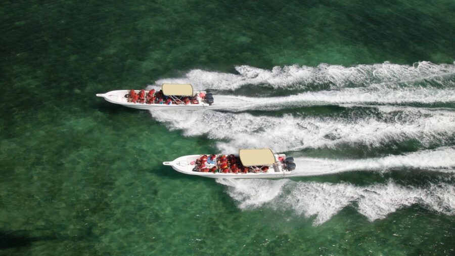 Saona Island All Inclusive Tour - Catamaran vs speedboat: which ride matches your body and your patience