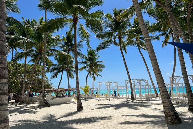 Saona Island and Chavon River Tour with Lunch and Drinks - Key Things to Know Before You Book