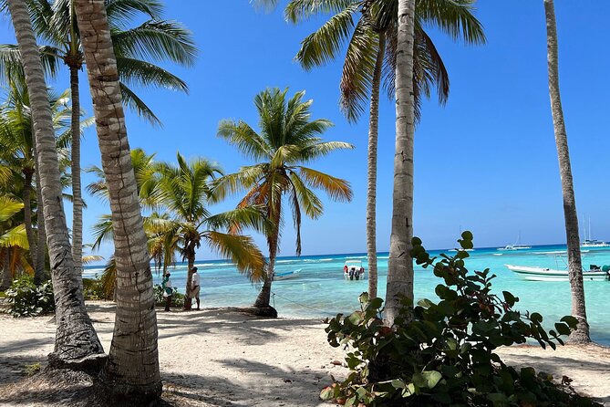 Saona Island and Chavon River Tour with Lunch and Drinks - Chavón River Speedboat: The Start That Sets Expectations