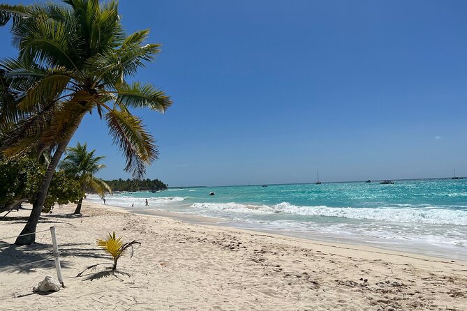 Saona Island and Chavon River Tour with Lunch and Drinks - Drinks, Snacks, and the Private Pineapple Pina Colada Perk