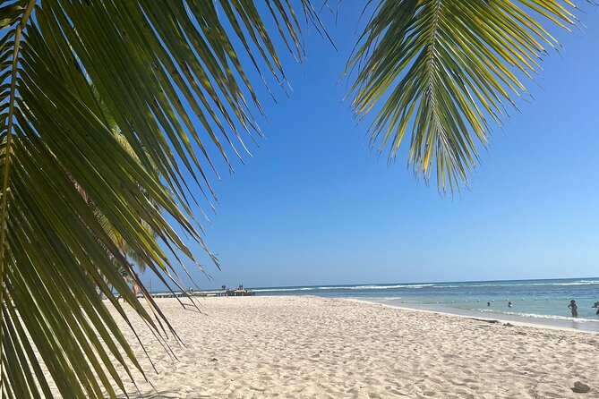 Saona Island and Chavon River Tour with Lunch and Drinks - Price and Logistics: Is $105 Good Value?
