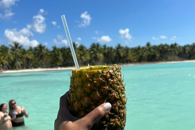 Saona Island and Chavon River Tour with Lunch and Drinks - Comfort and Motion Tips for a Speedboat-Only Day