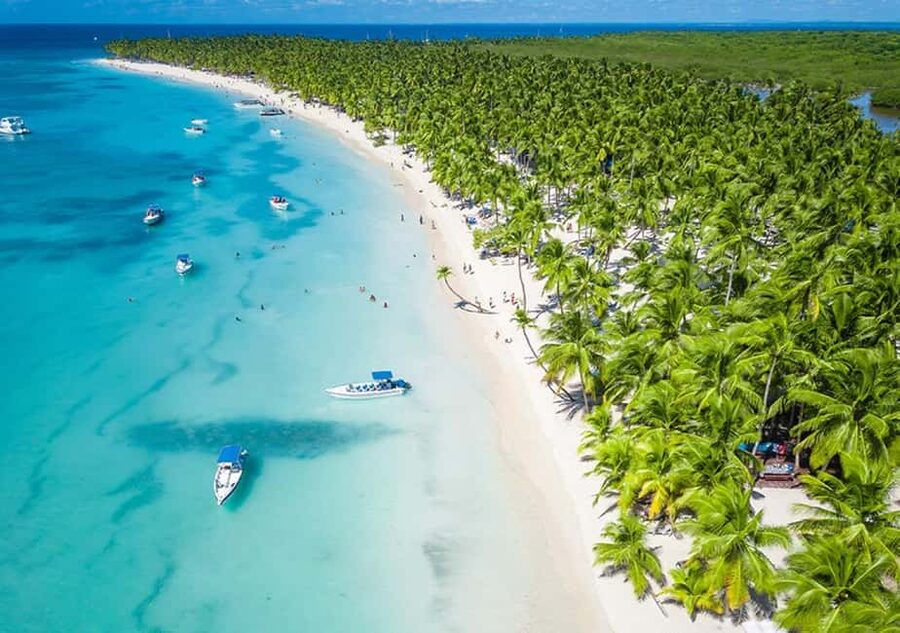 Saona Island: Beach & Natural Pool Small-Group Tour w/ Lunch - Why Saona Island plus Cotubanama feels like a full day, not a quick stop