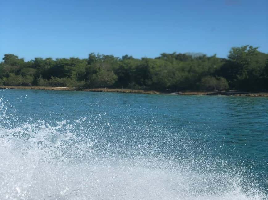 Saona Island: Beach & Natural Pool Small-Group Tour w/ Lunch - What to bring for Saona: small items that prevent big annoyances