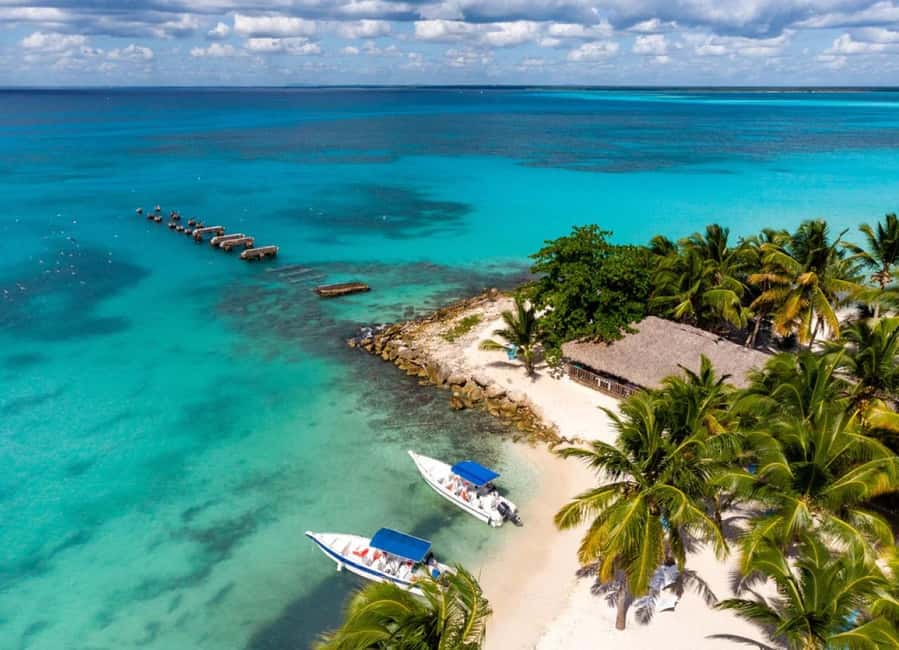 Saona Island: Beach & Natural Pool Small-Group Tour w/ Lunch - Mangroves in seawater, plus those calm moments between stops