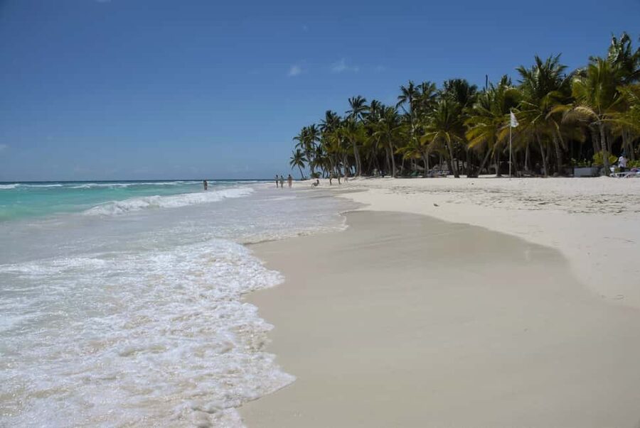Saona Island: Beach & Natural Pool Small-Group Tour w/ Lunch - Catuano piers snorkeling: what you can expect and how to enjoy it